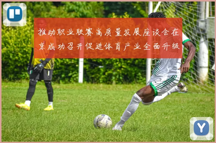 推动职业联赛高质量发展座谈会在京成功召开促进体育产业全面升级与创新发展